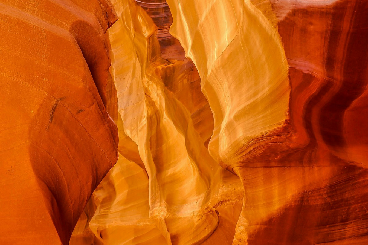 Carta da parati: il fascino ritrovato di un classico del design che divide le opinioni