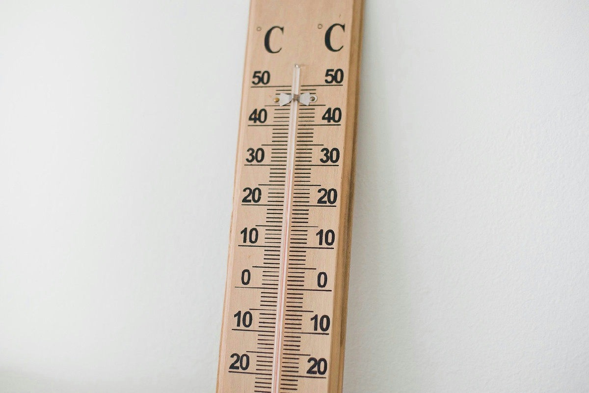 Coltivazione dei girasoli in esterni e vasi: consigli per fioriture splendide e durature