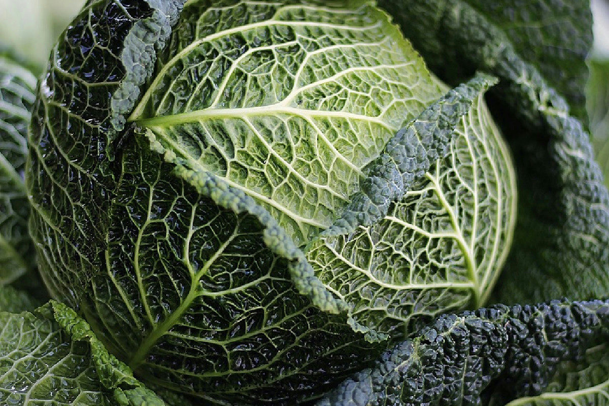 Natale in tavola con pasta sfoglia ripiena: un ingrediente insolito per un gusto unico