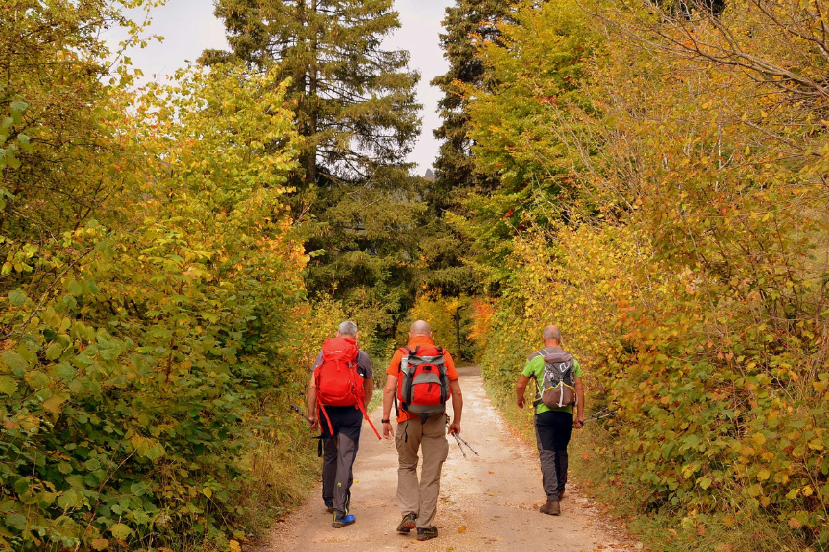 Qual è l’attività più vantaggiosa tra camminare e correre per chi ha superato i 50 anni