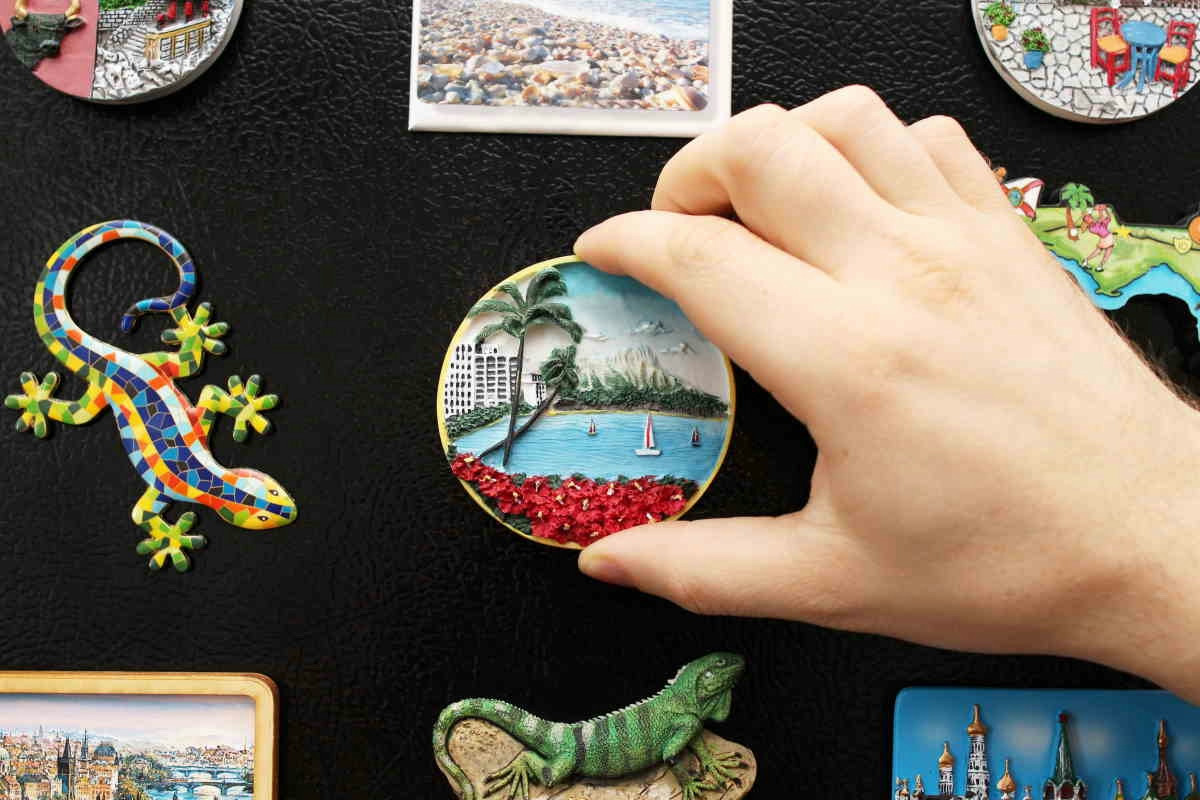 Quando le calamite si accumulano sul frigorifero, si rischia un danno che supera i 1000 euro