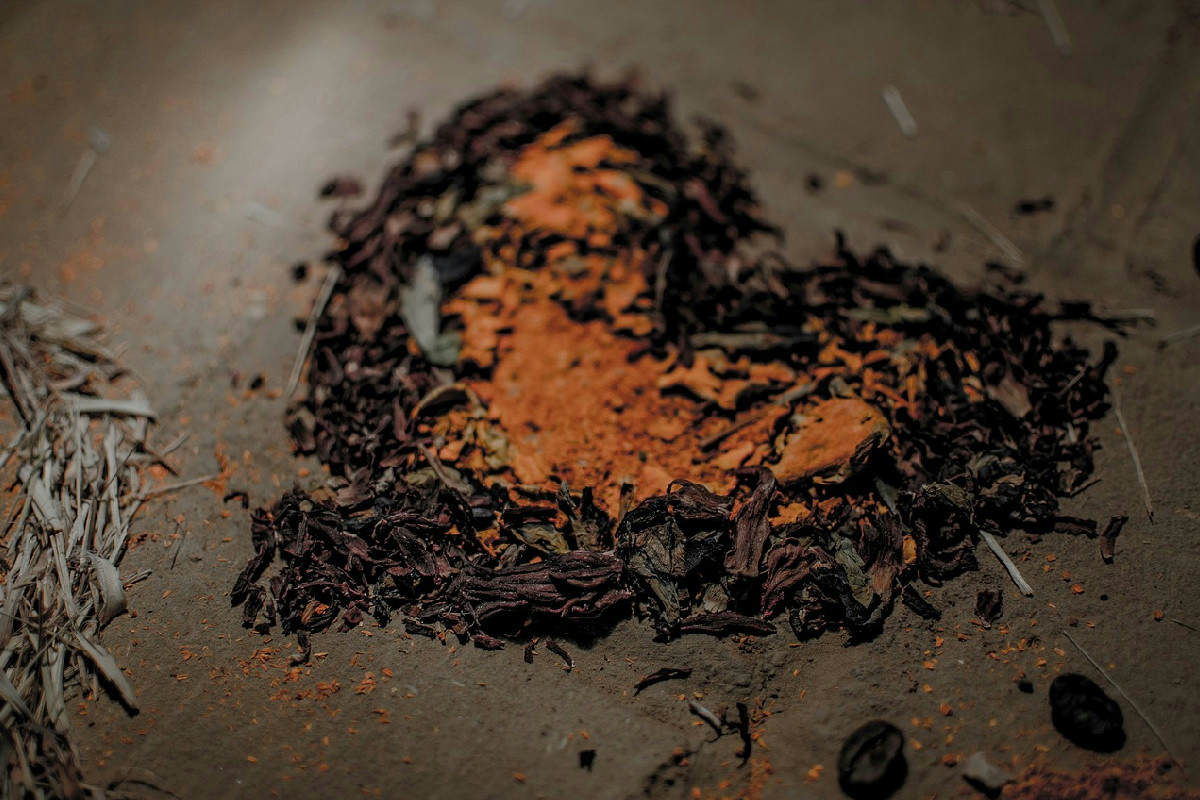 Tecnica giapponese anticaldo per riportare il verde alle ortensie durante l’estate