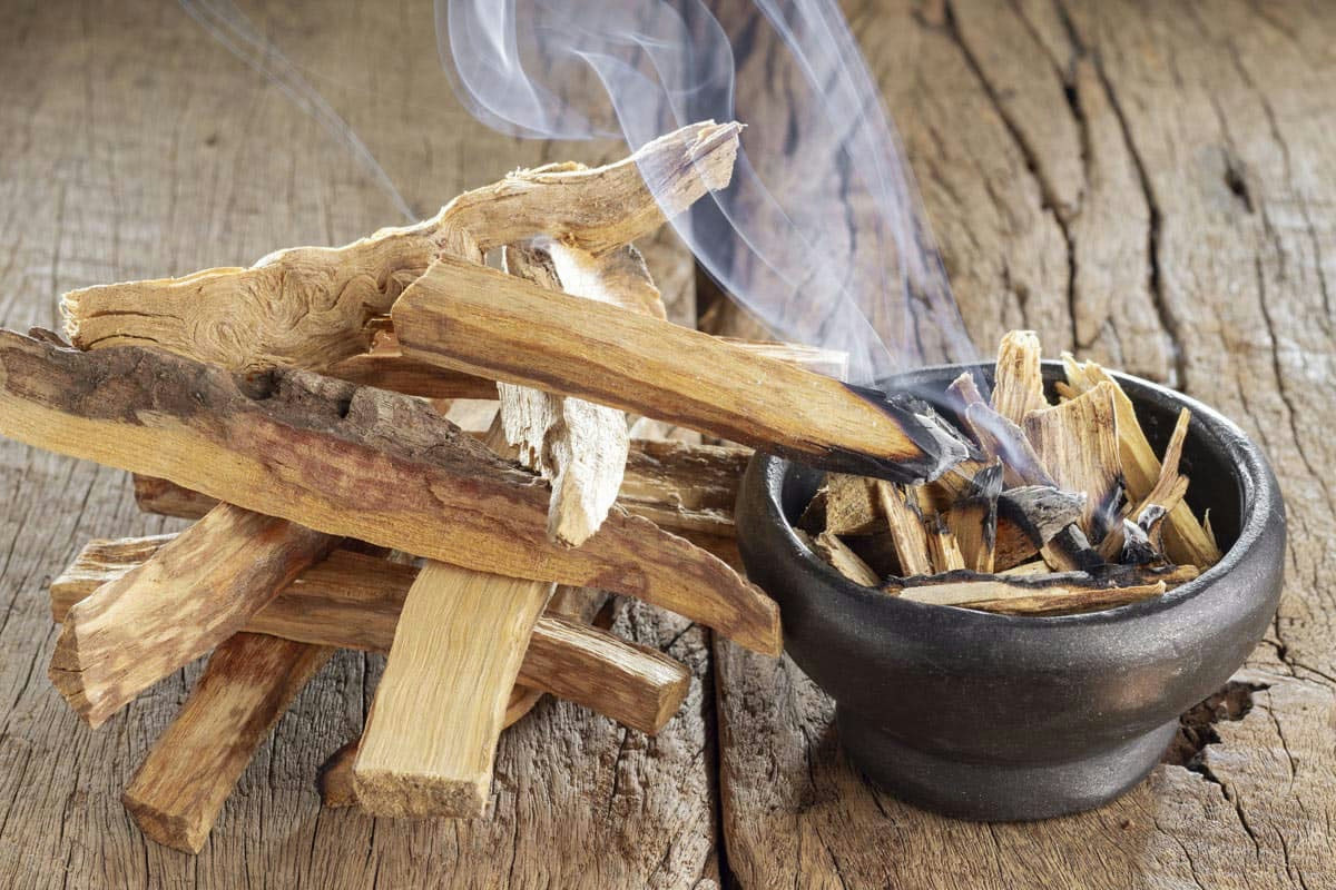 Palo Santo acceso: guida completa per purificare gli ambienti e attirare energia positiva in casa
