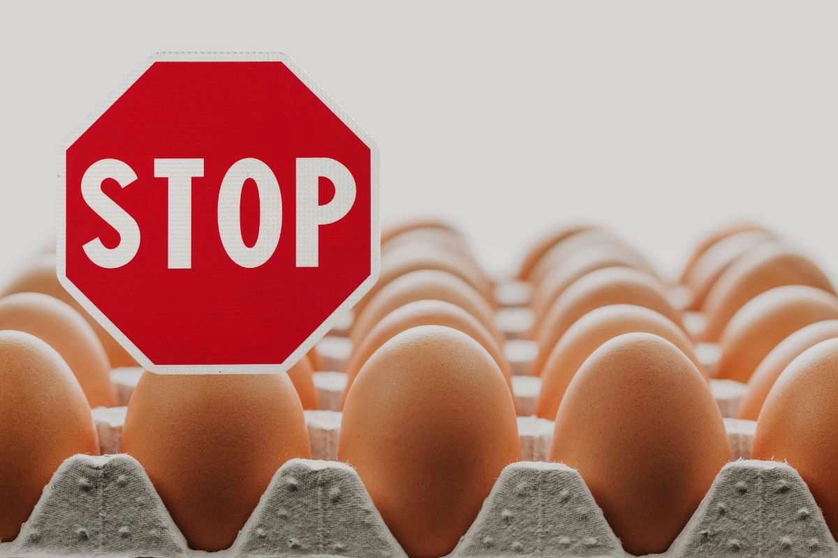 Ricetta perfetta per una salsa verde leggera senza l’uso di uova fresche in cucina